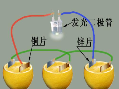 檸檬電池發(fā)電實(shí)驗